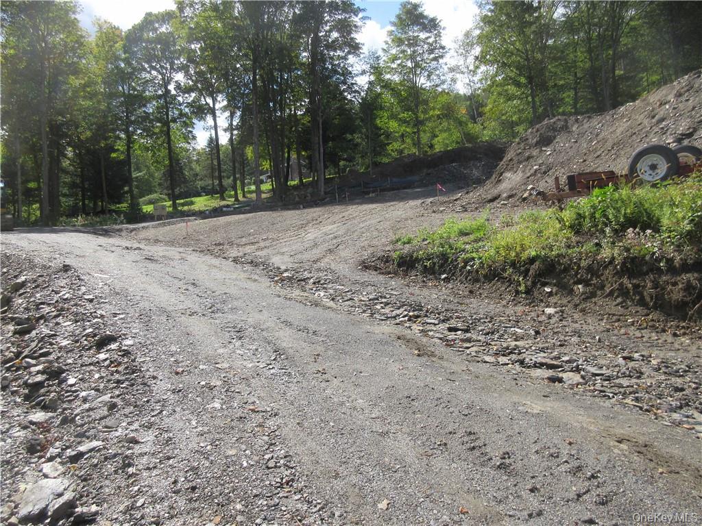 565 Halls Corners Road Dover Plains, NY 12522 - Photo 3 of 19 a view of outdoor space with trees all around