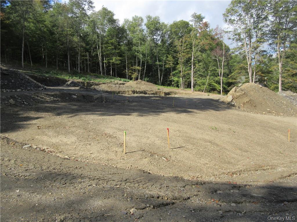 565 Halls Corners Road Dover Plains, NY 12522 - Photo 5 of 19 a backyard of a house with lots of green space