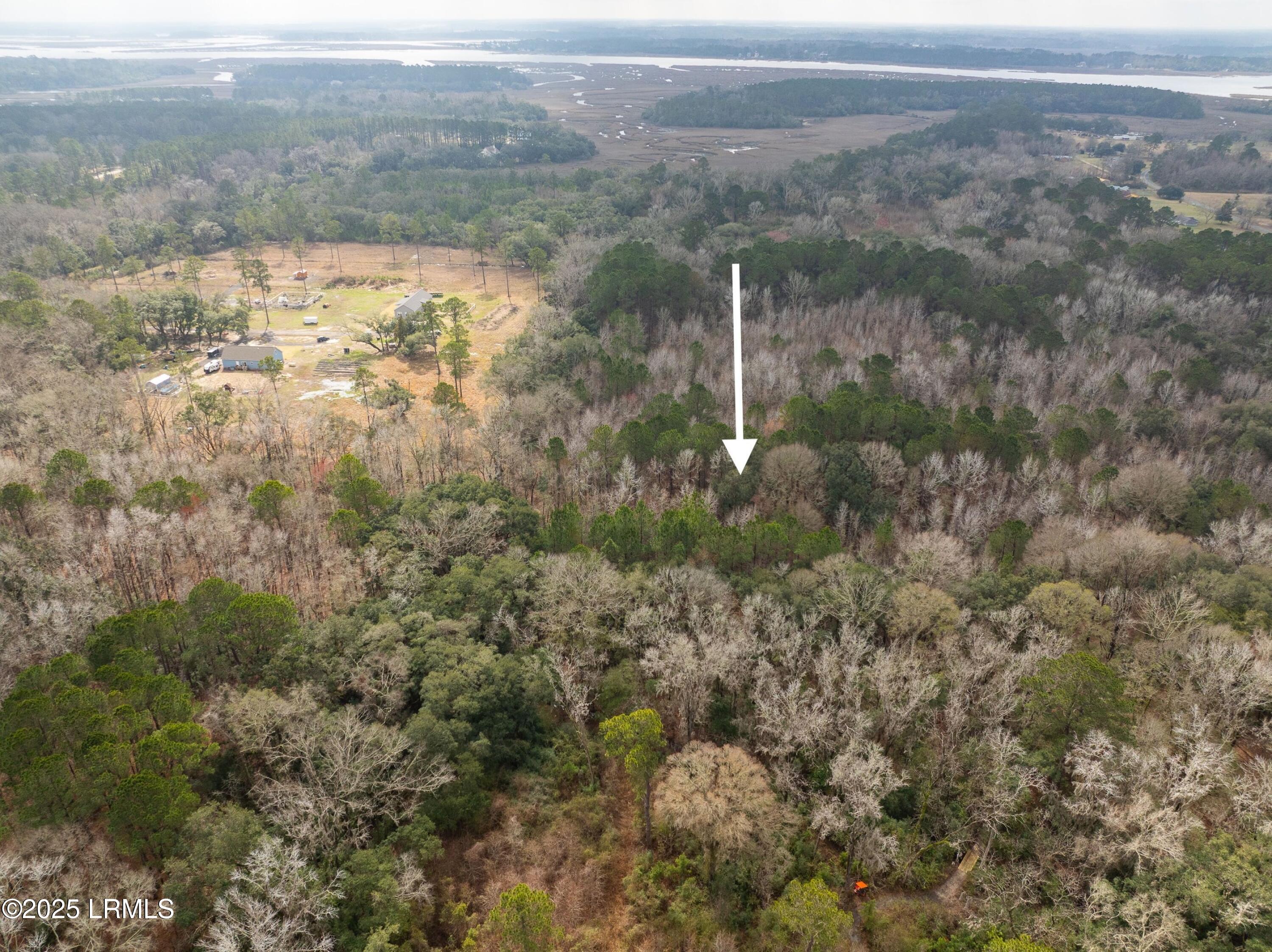 Tbd Morgan Road Seabrook, SC 29940 - Photo 3 of 11 DJI_0087-1.jpg-SMALL