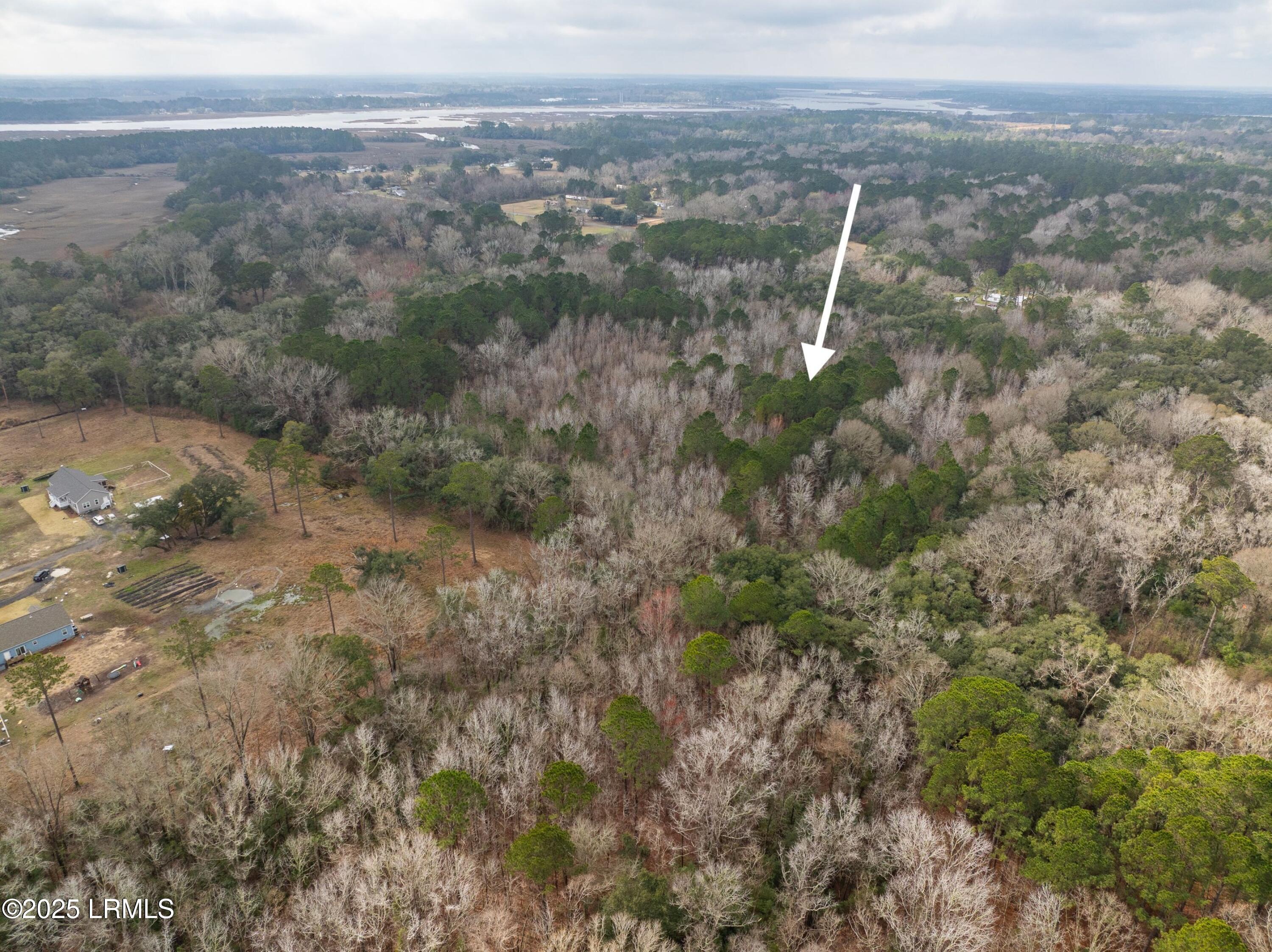 Tbd Morgan Road Seabrook, SC 29940 - Photo 4 of 11 DJI_0091-1.jpg-SMALL