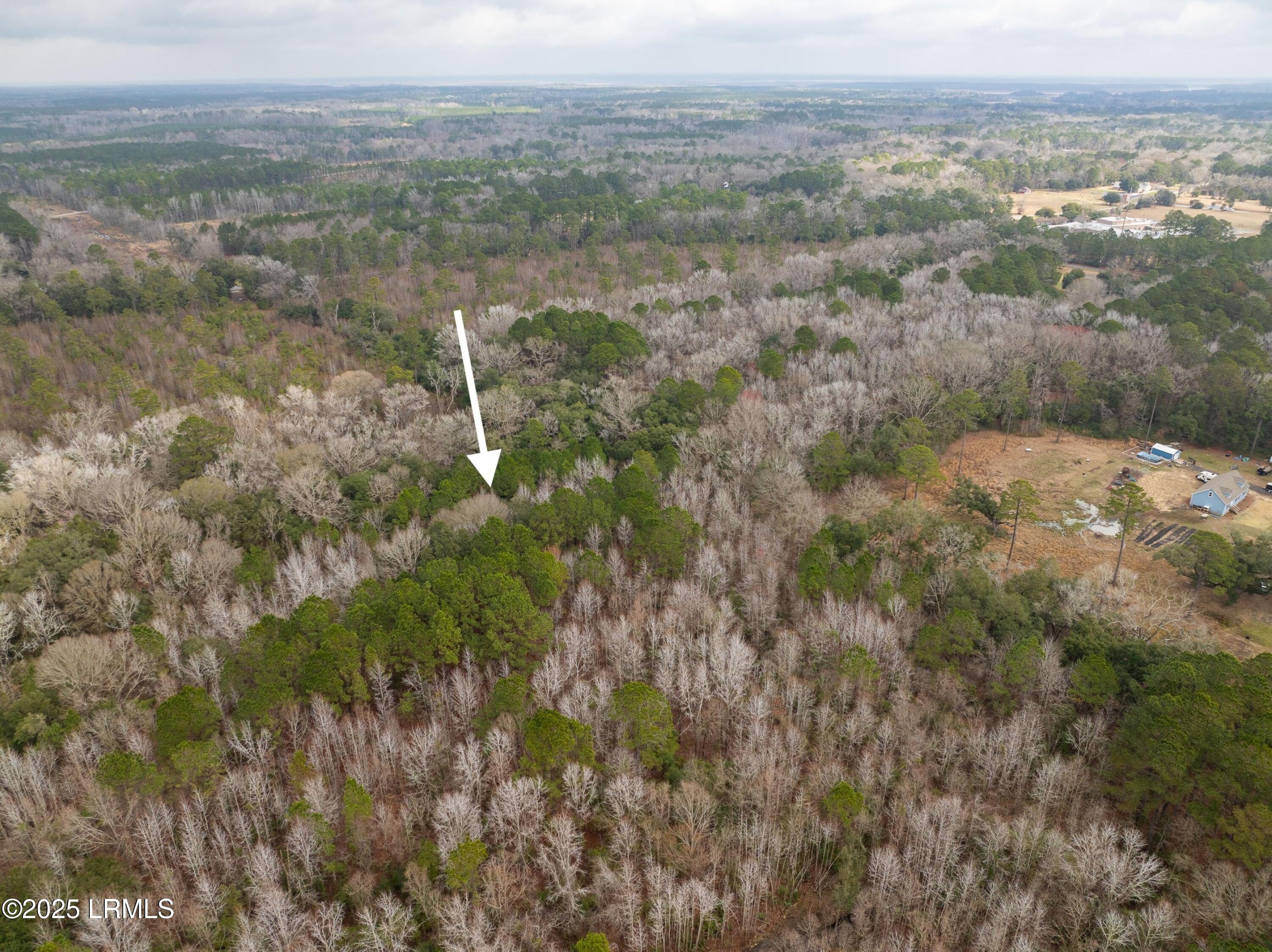 Tbd Morgan Road Seabrook, SC 29940 - Photo 7 of 11 DJI_0098-1.jpg-SMALL