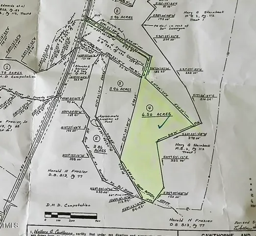 a view of a garden with plants