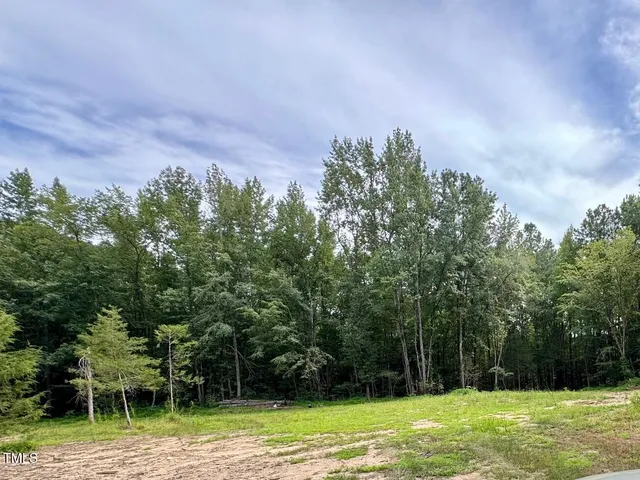 a view of a backyard with large trees