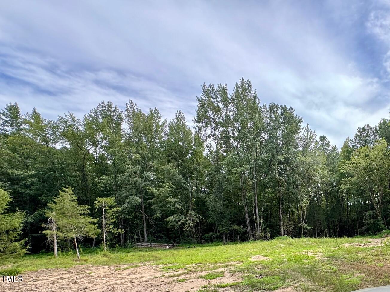 708 Tollie Weldon Road Henderson, NC 27537 - Photo 11 of 31 a view of a yard with a tree
