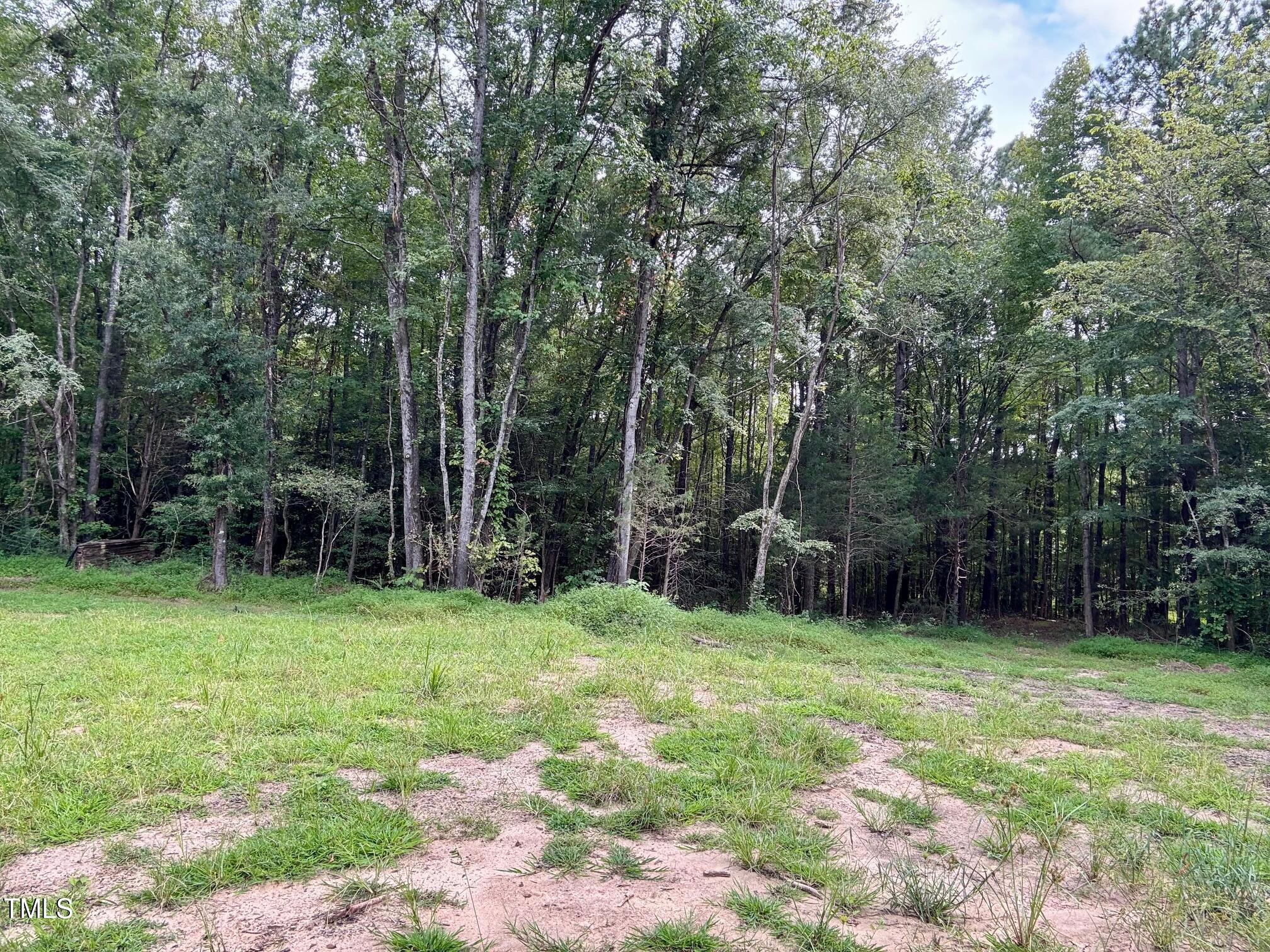 708 Tollie Weldon Road Henderson, NC 27537 - Photo 12 of 31 a view of a backyard with large trees