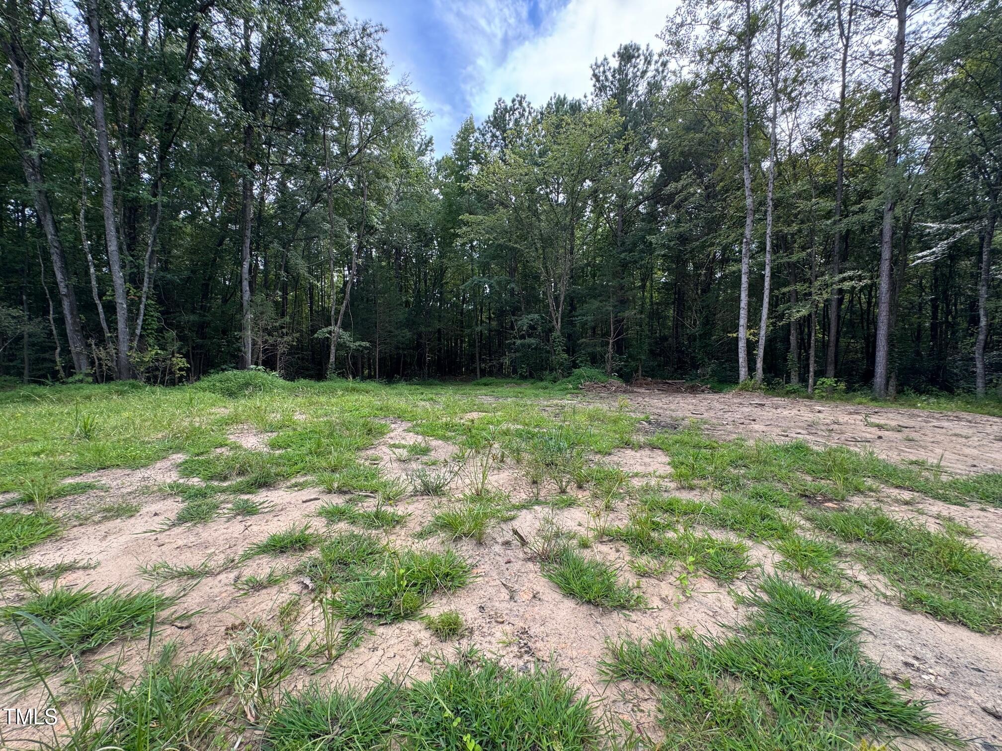 708 Tollie Weldon Road Henderson, NC 27537 - Photo 13 of 31 a backyard of a house with lots of green space