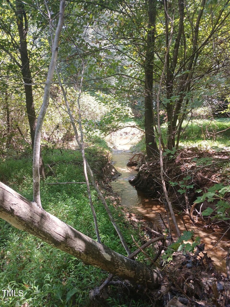 708 Tollie Weldon Road Henderson, NC 27537 - Photo 16 of 31 a view of a forest with trees in the background