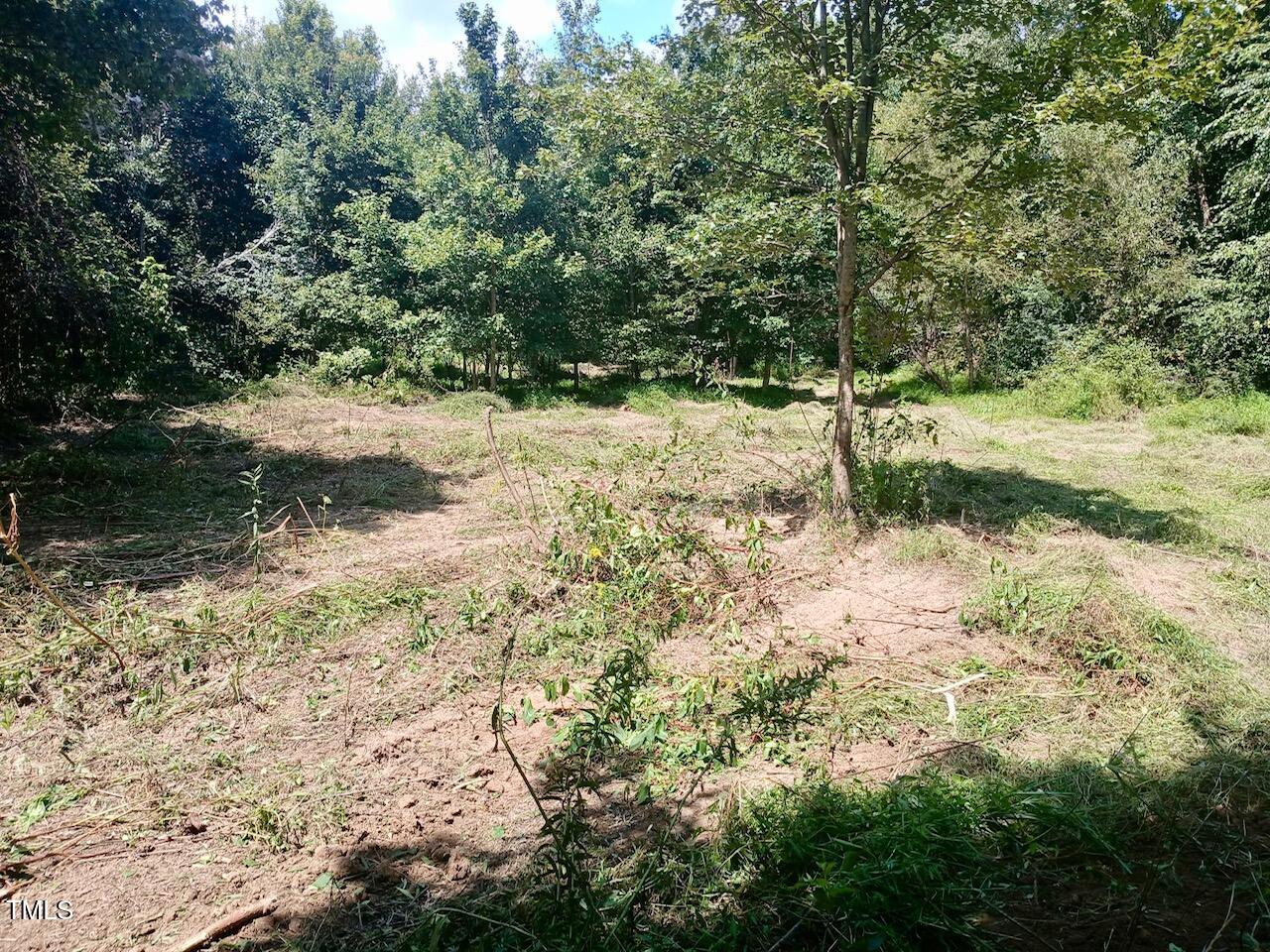 708 Tollie Weldon Road Henderson, NC 27537 - Photo 17 of 31 a view of a yard with plants and trees