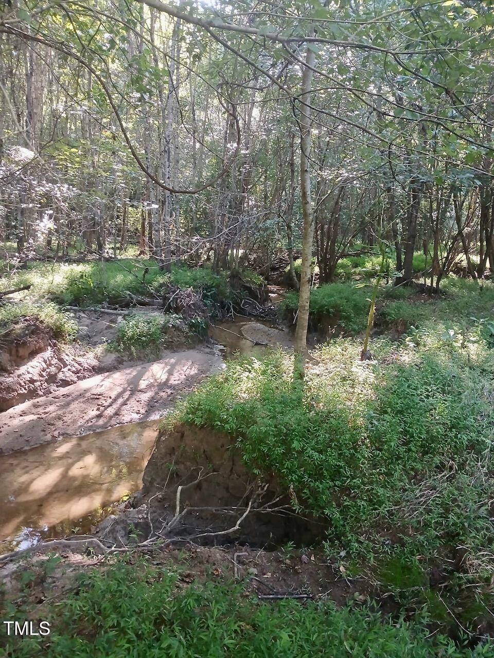 708 Tollie Weldon Road Henderson, NC 27537 - Photo 19 of 31 a backyard of a house with lots of green space