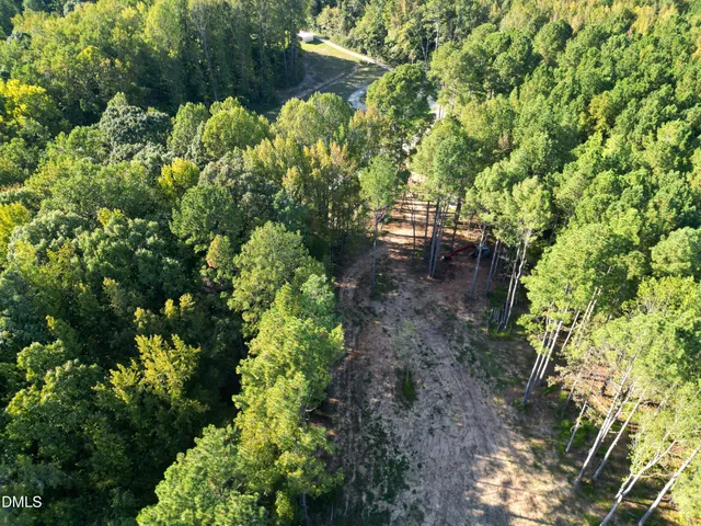 a view of a yard with plants