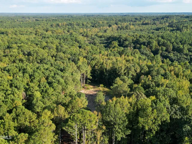 a view of a forest with a yard
