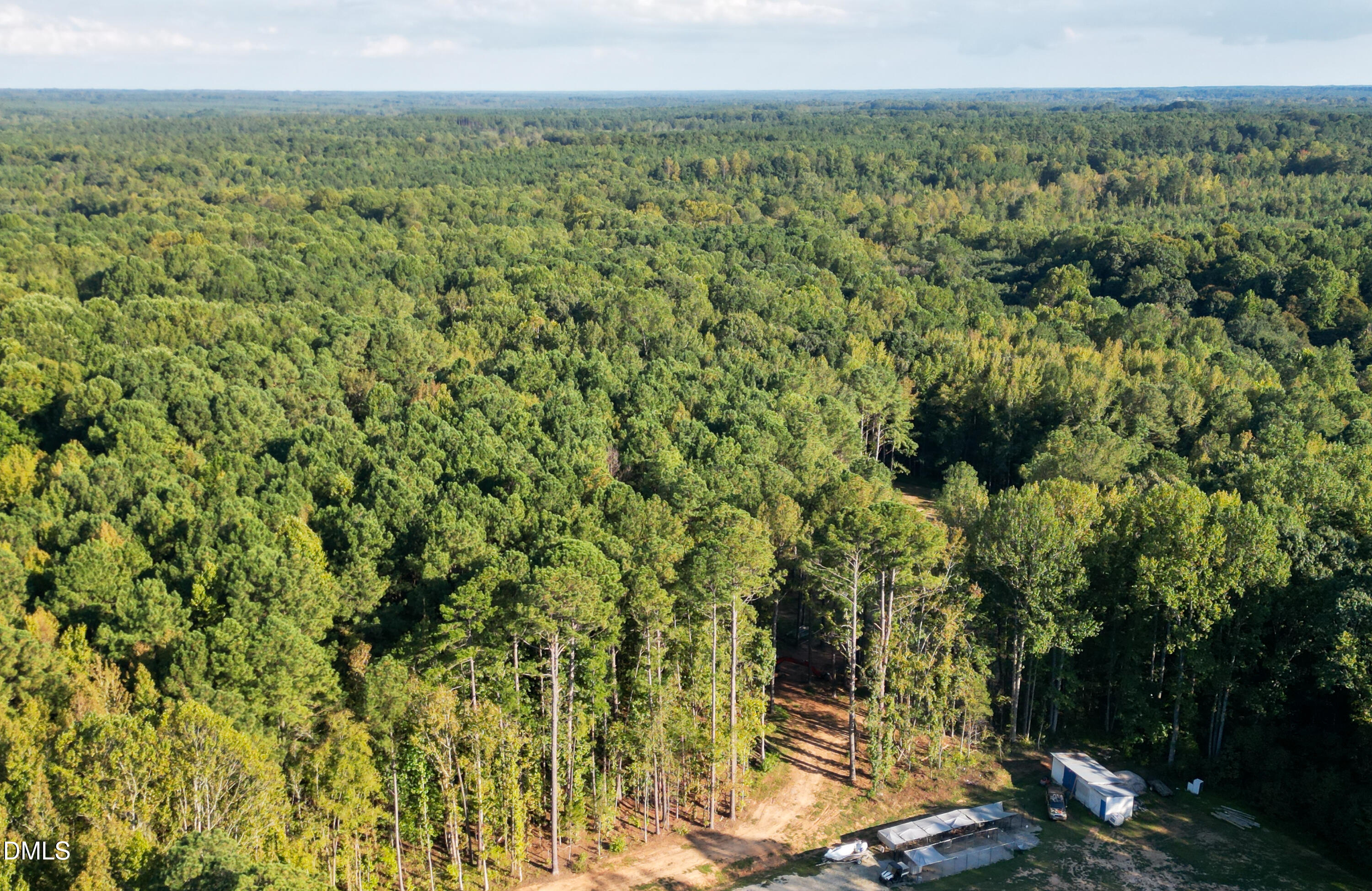 708 Tollie Weldon Road Henderson, NC 27537 - Photo 22 of 31 a view of a forest with a yard