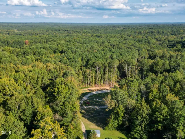 a view of a garden with plants