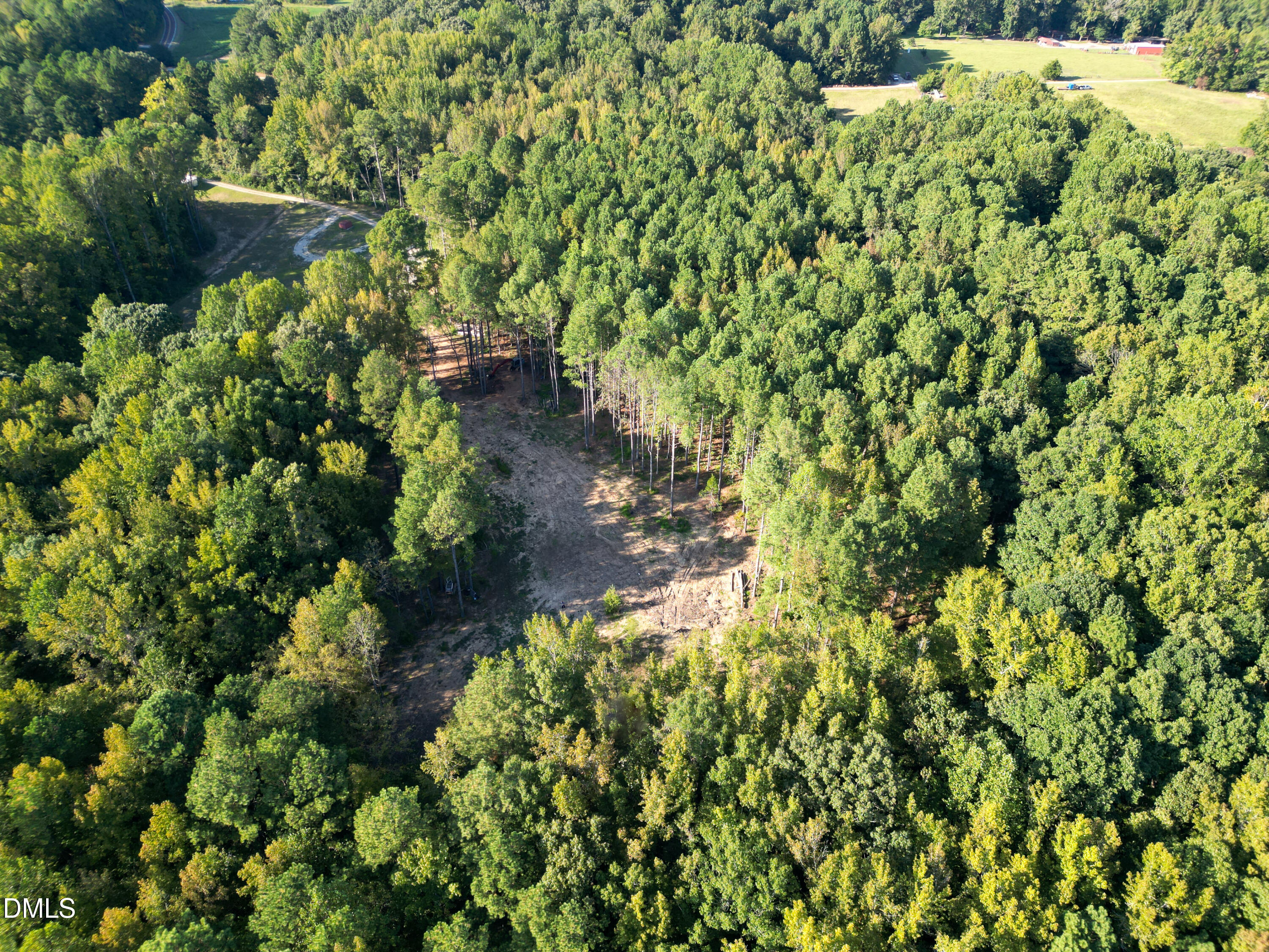 708 Tollie Weldon Road Henderson, NC 27537 - Photo 25 of 31 a view of a garden with plants