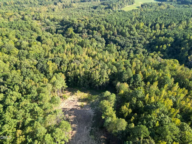 a view of a bunch of flowers