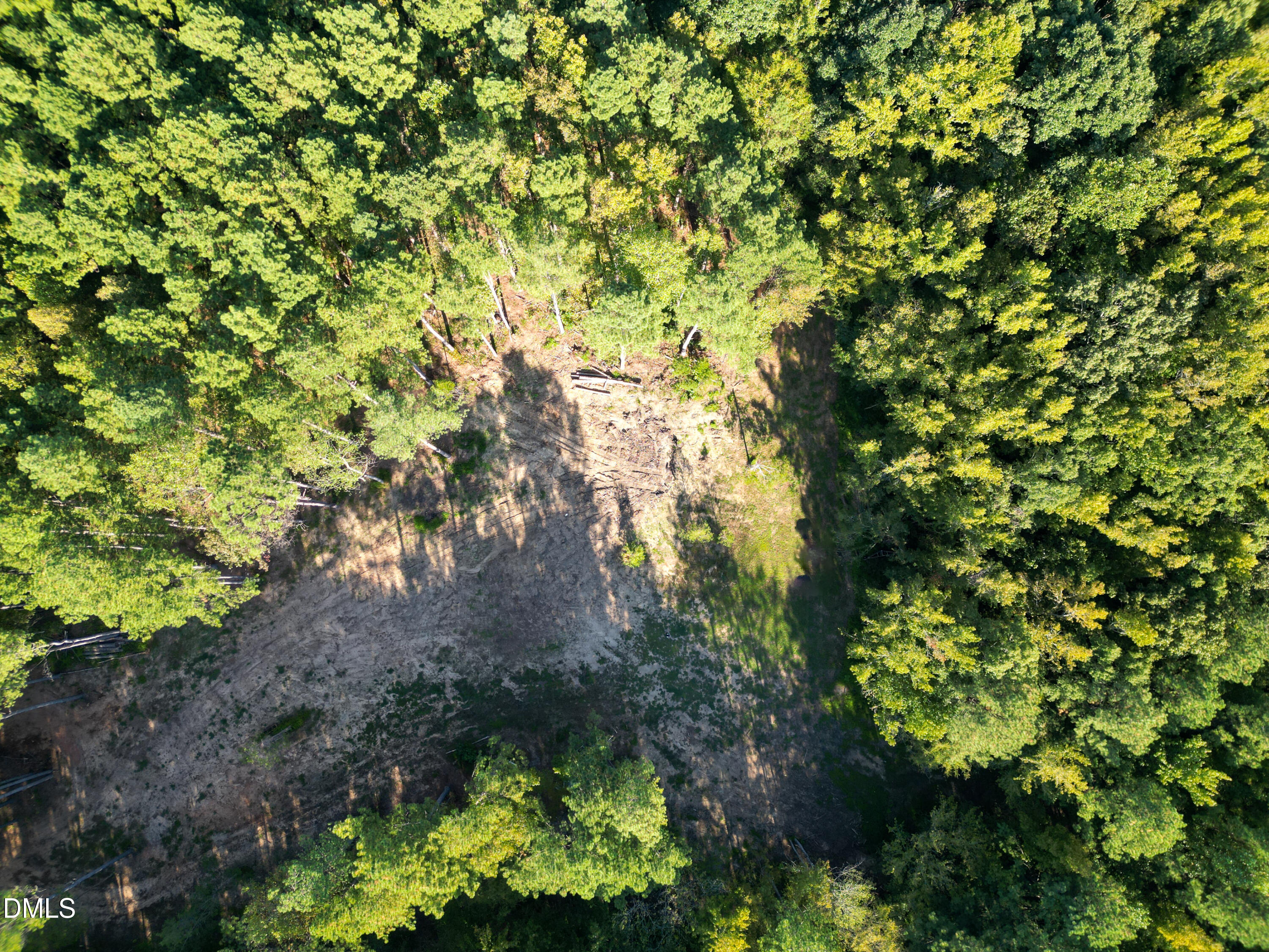 708 Tollie Weldon Road Henderson, NC 27537 - Photo 28 of 31 a backyard of a house with lots of plants and trees