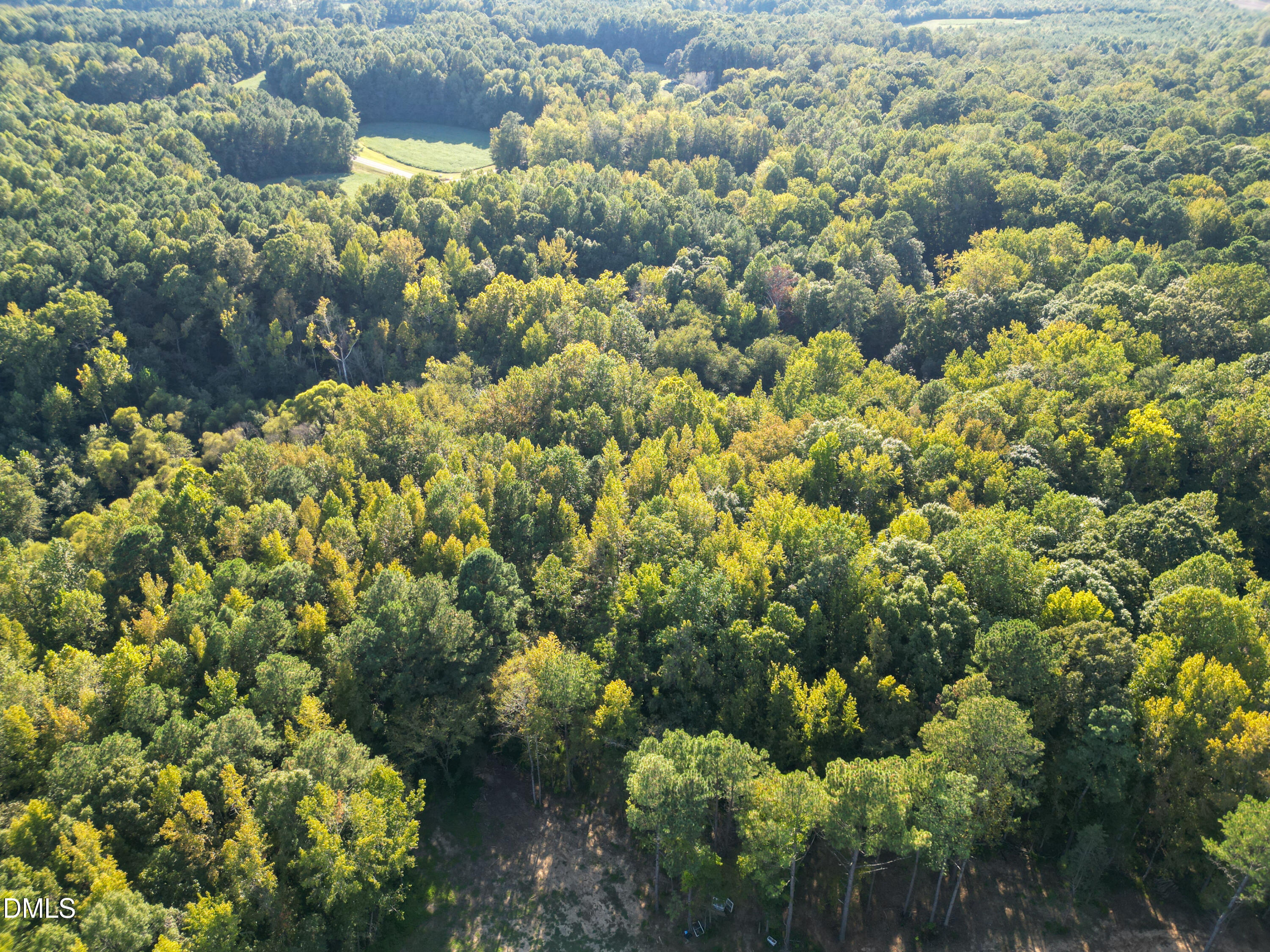 708 Tollie Weldon Road Henderson, NC 27537 - Photo 29 of 31 a view of a bunch of flowers