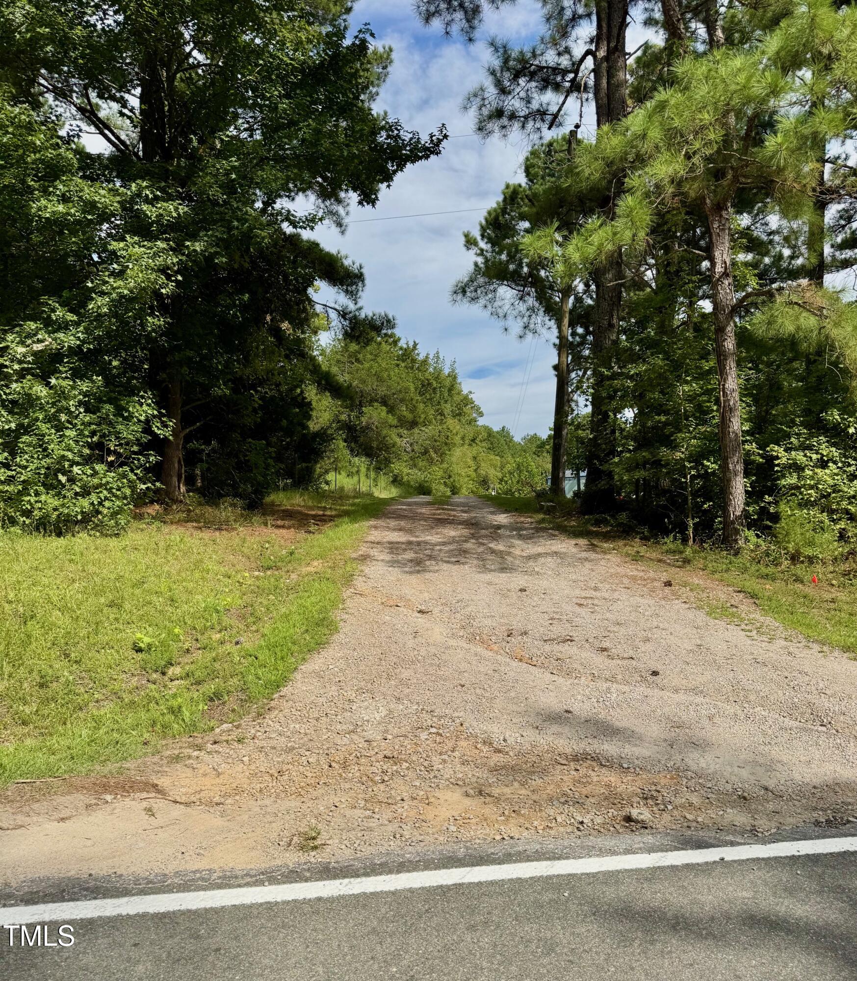 708 Tollie Weldon Road Henderson, NC 27537 - Photo 3 of 31 a view of a yard with plants