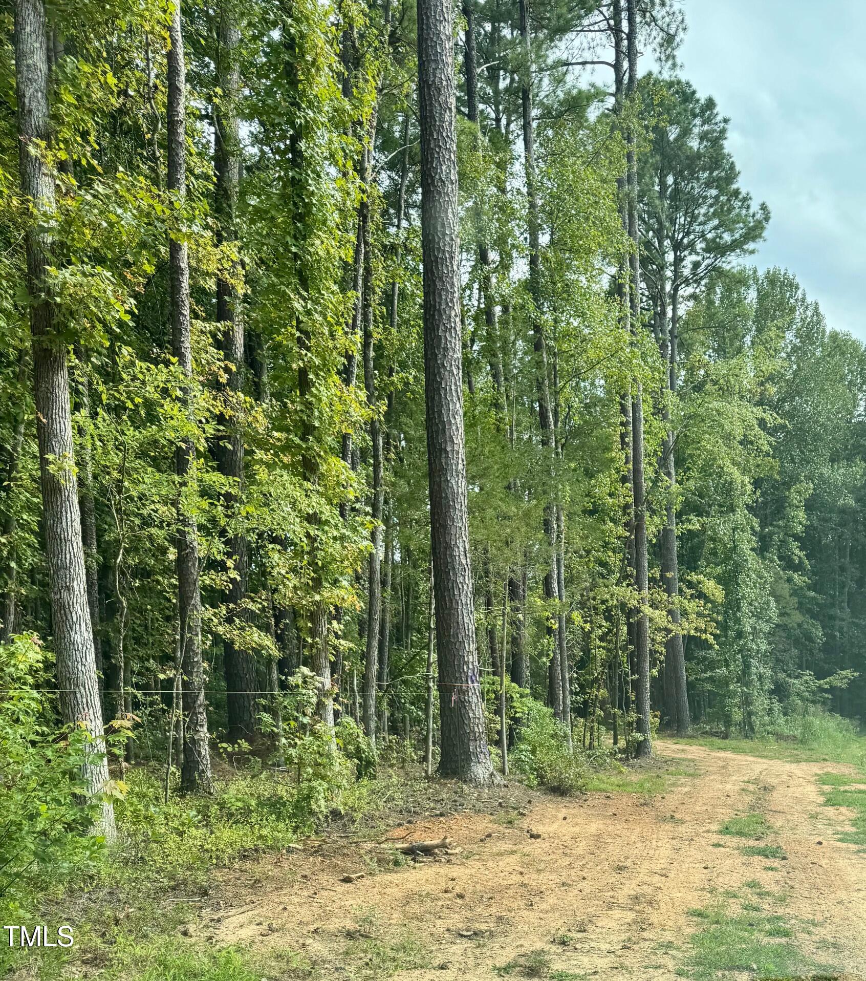 708 Tollie Weldon Road Henderson, NC 27537 - Photo 5 of 31 a view of outdoor space and trees