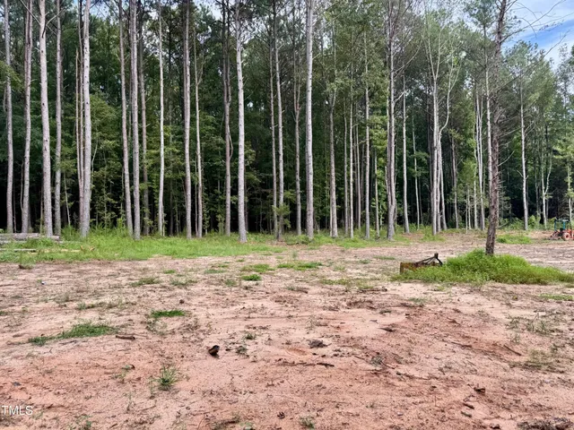 a view of field with trees in the background