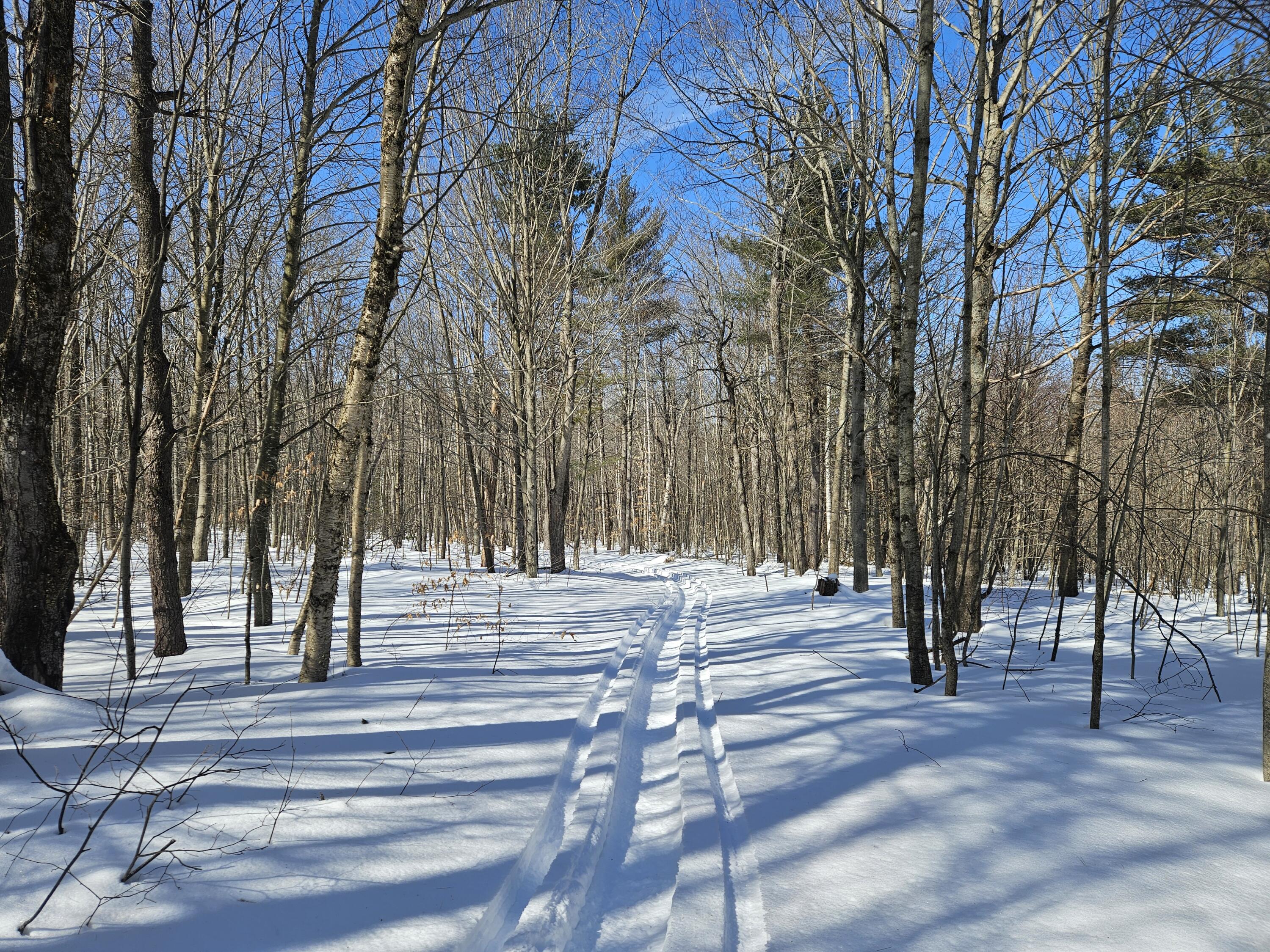 0 Canton Mountain Road Canton, ME 04221 - Photo 12 of 93