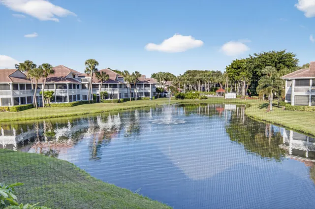 a view of a yard with a palm tree