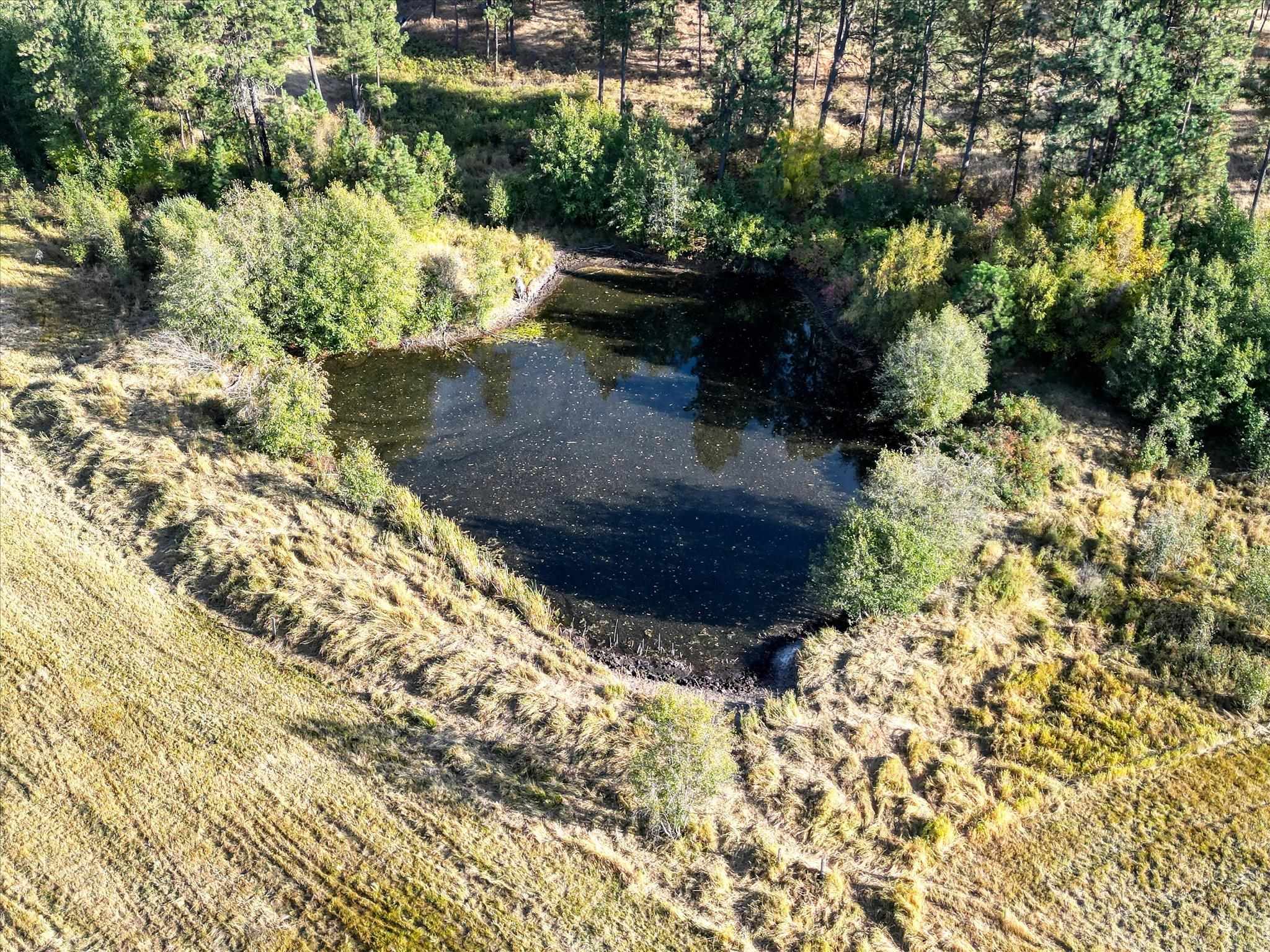 Nka South Ritchey Road, Unit 23679 S RITCHEY RD Cheney, WA 99004 - Photo 4 of 21