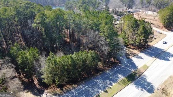 a view of a plants in a garden