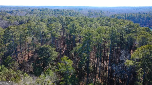 a view of a lush green forest with trees and some houses