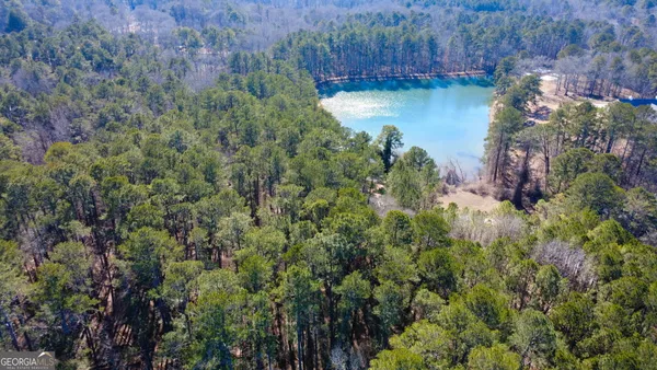 a view of a lake with large trees