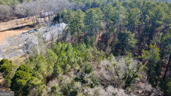 a view of a yard with plants and trees