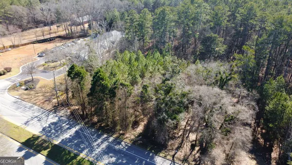 a yard with lots of trees