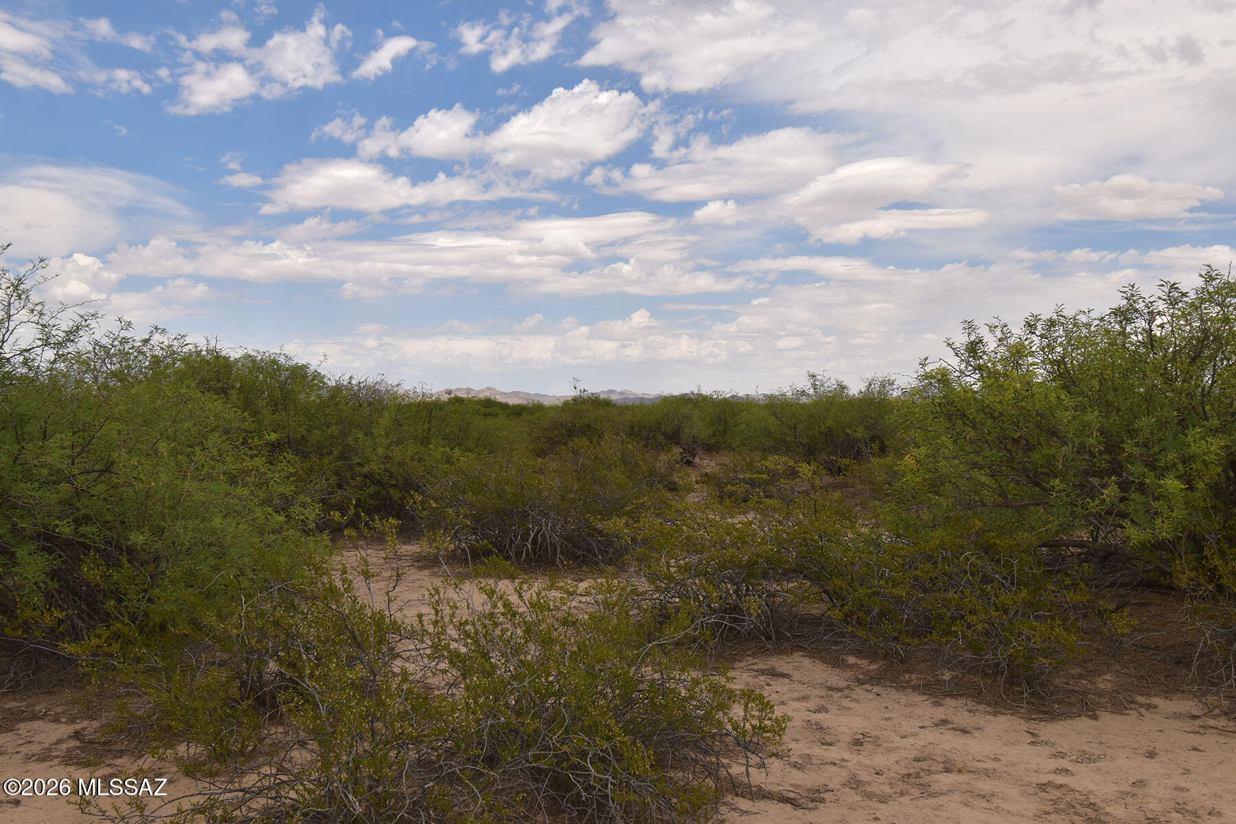 40.7-ac North Parker Road San Simon, AZ 85632 - Photo 10 of 24