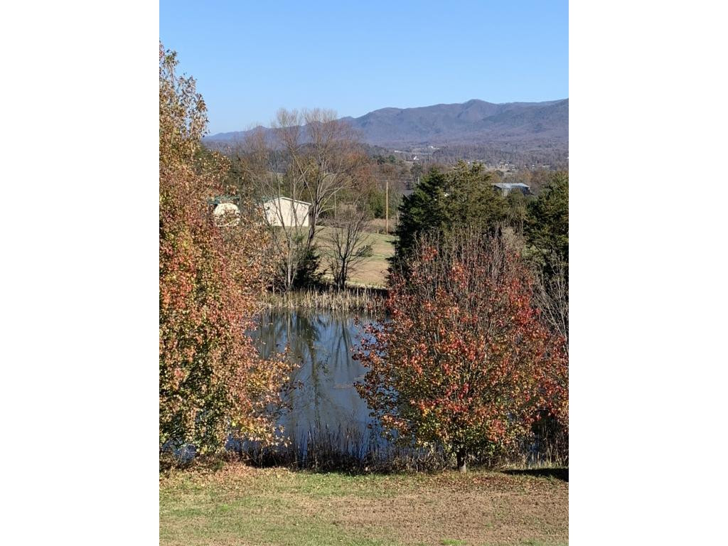 1040 Shakerag Road Greeneville, TN 37743 - Photo 3 of 10 Photo 3