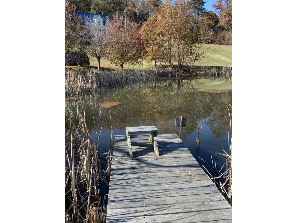 1040 Shakerag Road Greeneville, TN 37743 - Photo 4 of 10 Photo 4