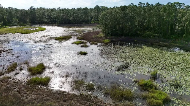 $629,000 | 39817 Forest Drive, Eustis, FL 32736