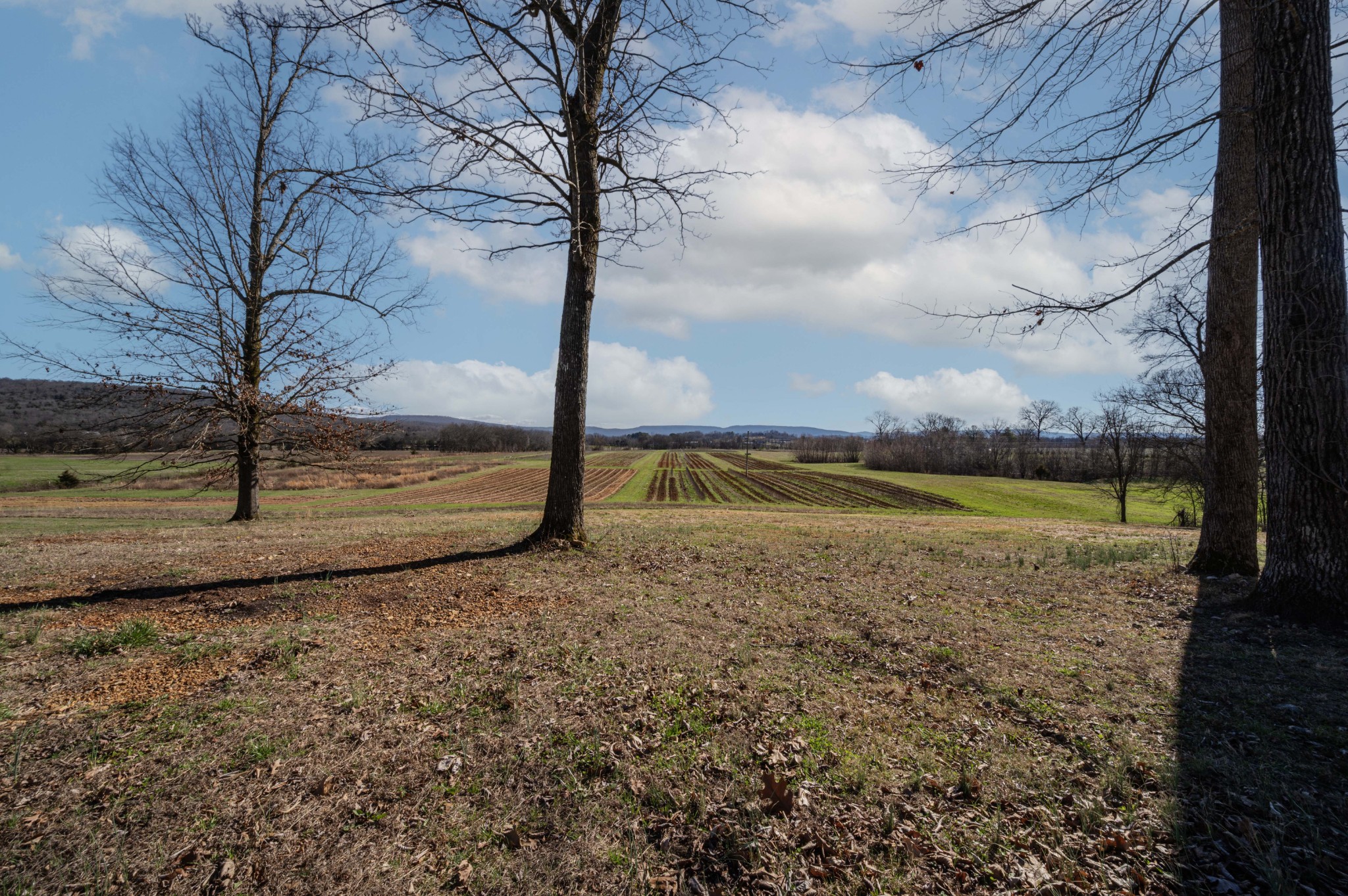224 Murray Road Belvidere, TN 37306 - Photo 53 of 56