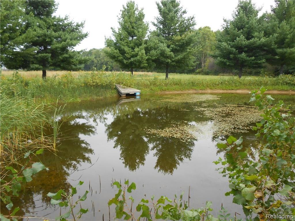 16155 Pratt Road Armada, MI 48005 - Photo 10 of 28 Pond1.JPG