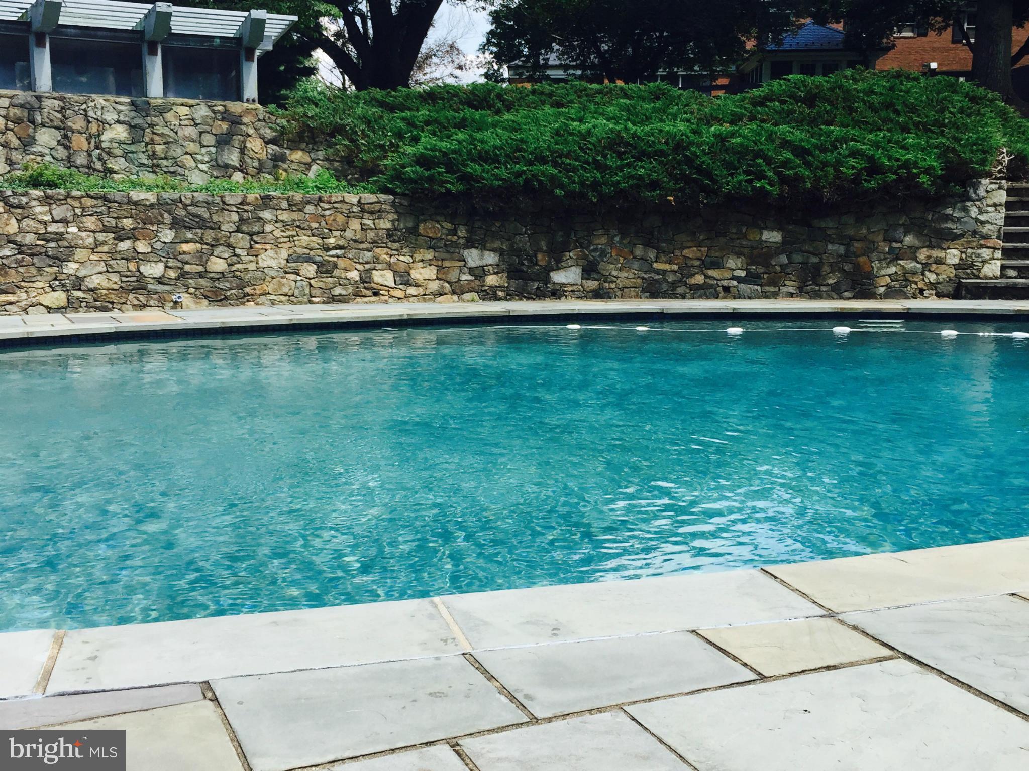 23387 Mersey Road Middleburg, VA 20117 - Photo 21 of 30 View of the pool & extensive hardscape