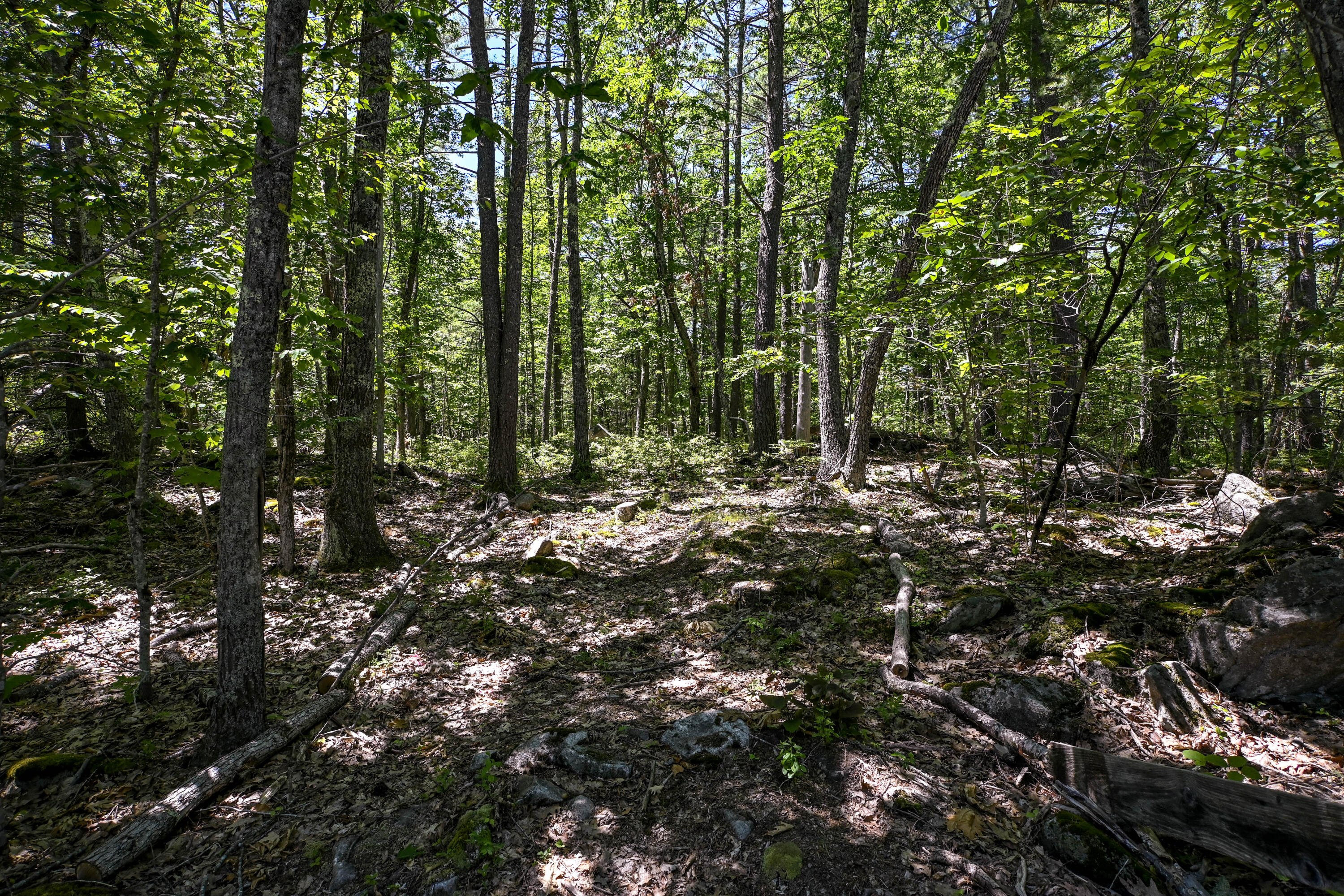 20 Witchtrot Road York, ME 03909 - Photo 15 of 19