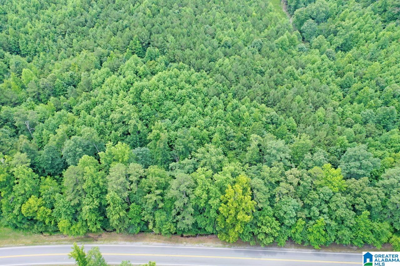 0 US Highway 278 Altoona, AL 35952 - Photo 1 of 14