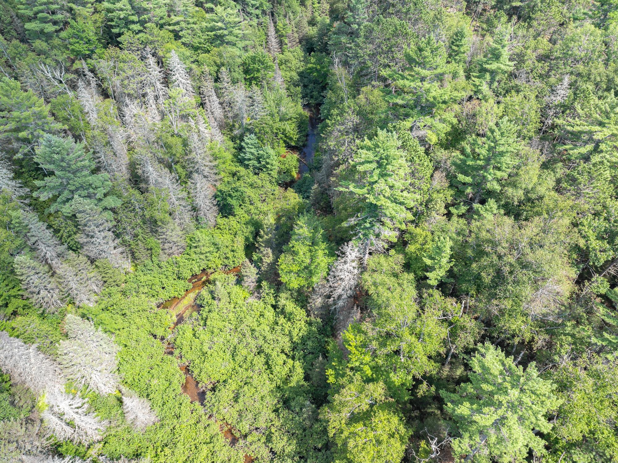 On Dam Road Eagle River, WI 54521 - Photo 66 of 86 Gallery Image 66
