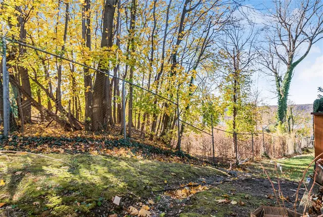 a backyard of a house with a trees