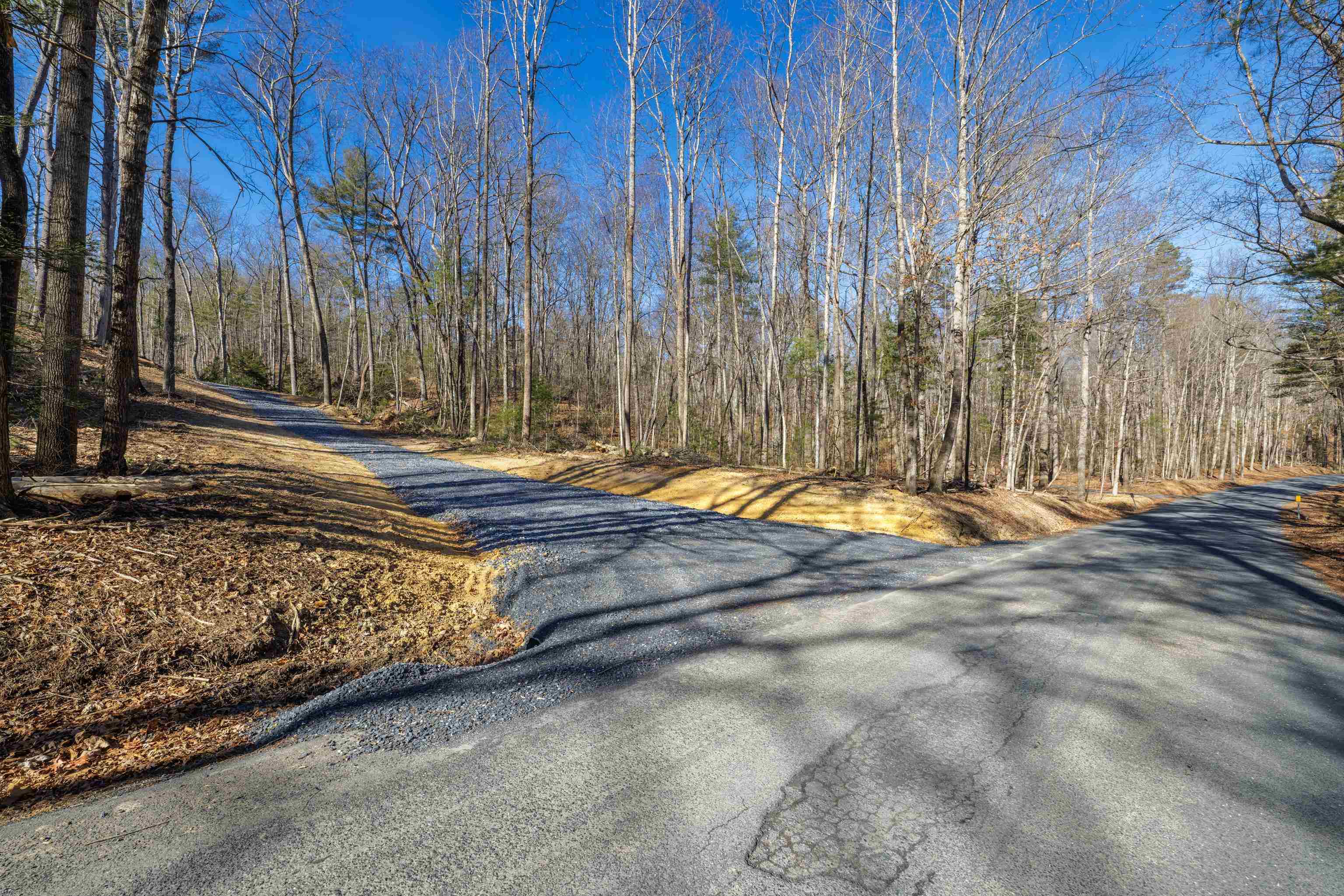 24.97-ac Stribling Springs Road Mount Solon, VA 22843 - Photo 5 of 34 a view of backyard with large trees