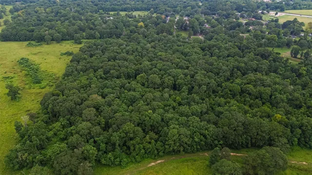 a view of a forest with a houses