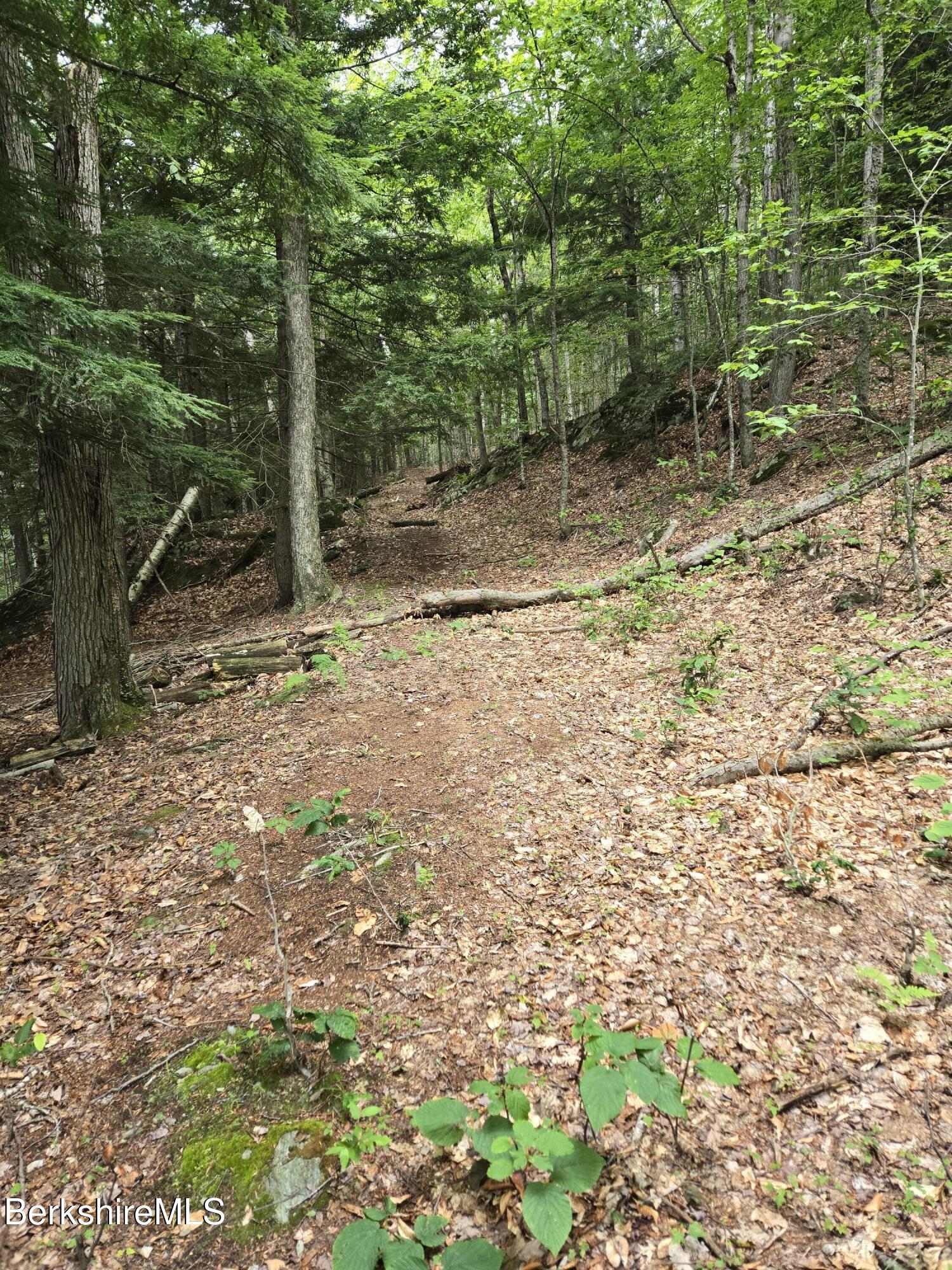 0 Monroe Road Drury, MA 01343 - Photo 15 of 17 1000021817