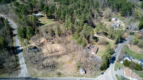 a view of a yard with plants