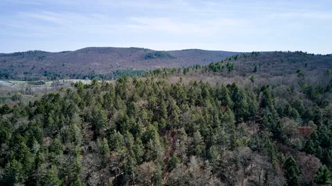 an aerial view of mountain and tree