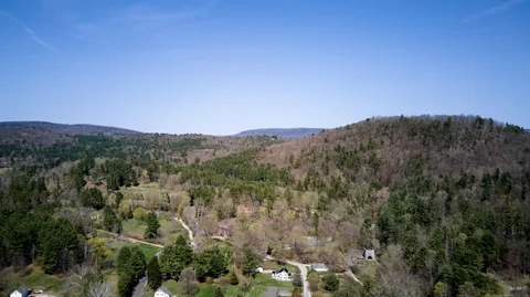 a view of a city with lush green forest