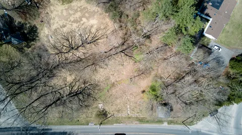 a view of a yard in the forest
